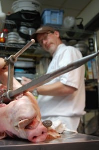 luscher pig luscher pig