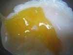 s146egg s146egg