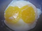 xegg svs 150 xegg svs 150
