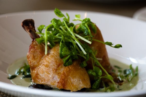 lunch_at_craft_dallas-8