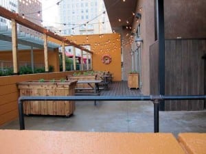 wild_salsa_opening-001