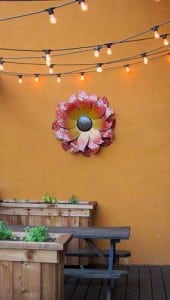 wild_salsa_opening-021