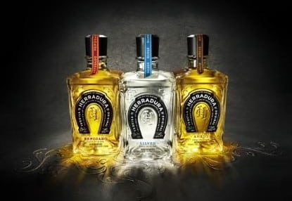 2010-herradura
