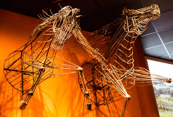 stampede 66 by stephan pyles copyright Michael Hiller-19