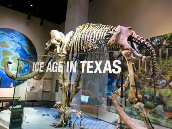 perot museum-40