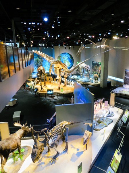 perot museum-46
