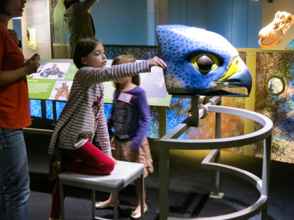 perot museum-49