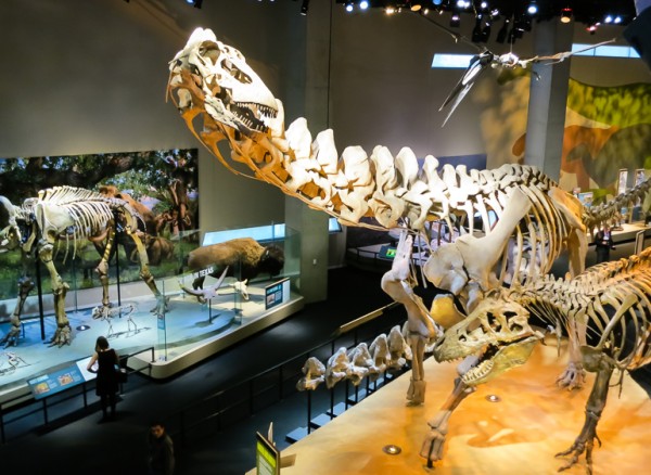perot museum-50