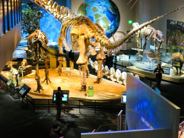 perot museum-54