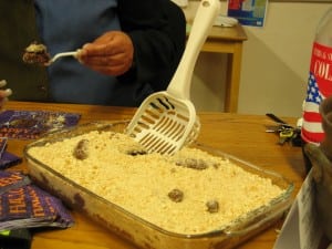 kitty litter cake