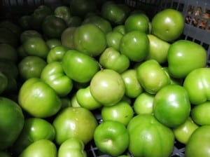 IMG_0560