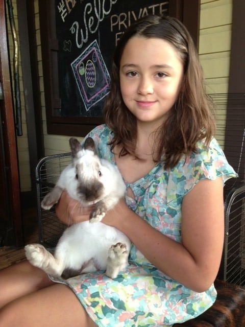 Fake easter bunny