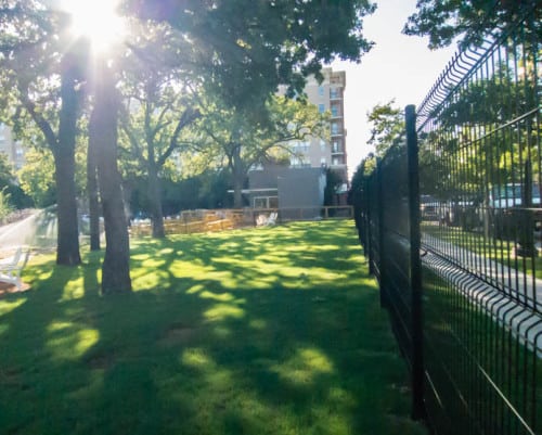 mutts cantina and dog park dallas-6