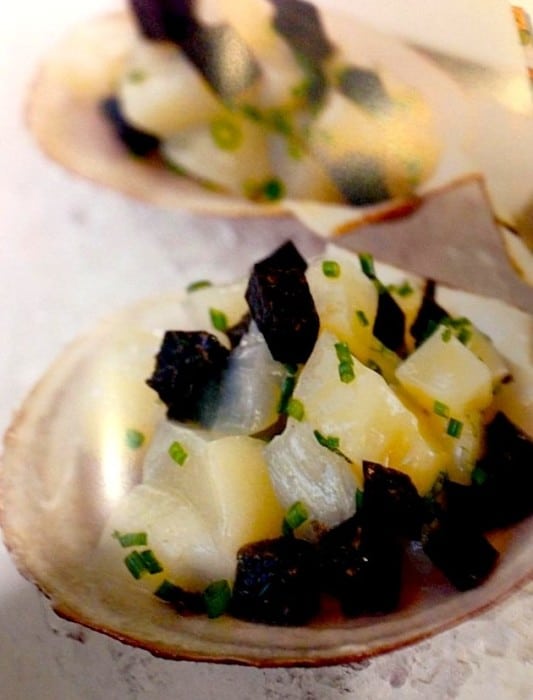 scallop